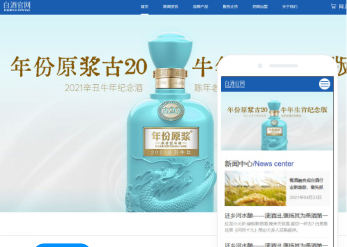 如何進(jìn)行合肥網(wǎng)站開發(fā)？